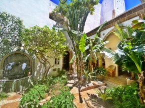 Sublime Riad d'artiste au coeur de la médina d'Essaouira
